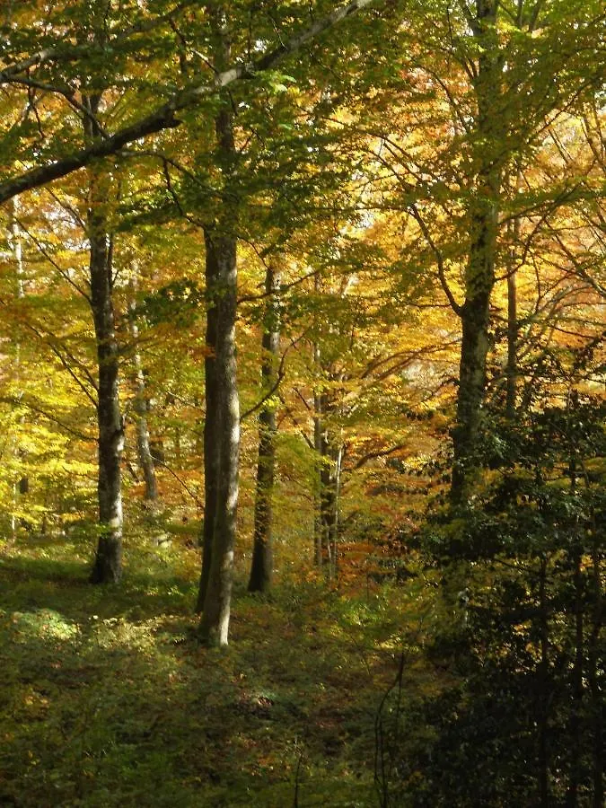 Au Pays Des Abbayes Villa Dourgne 0*,  France